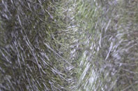 Upper Shelton fibreglass roof work